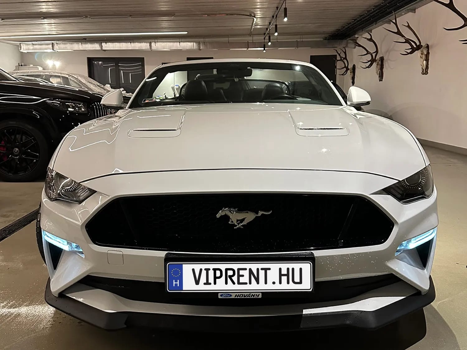 Ford Mustang V8