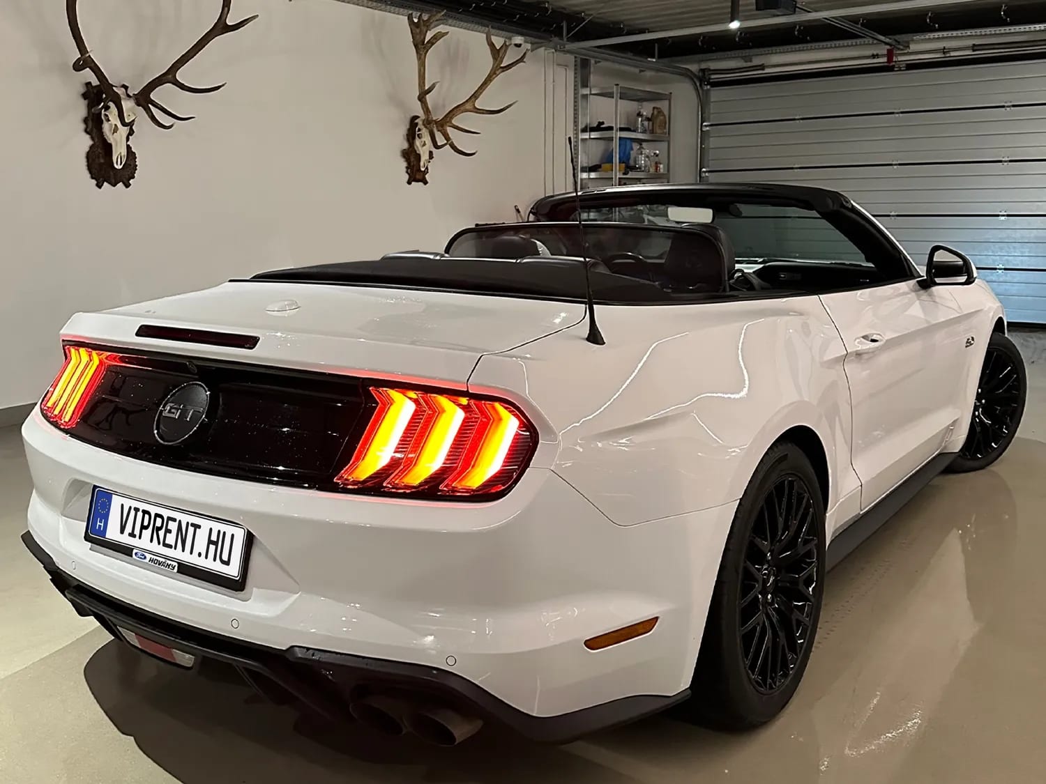 Ford Mustang V8