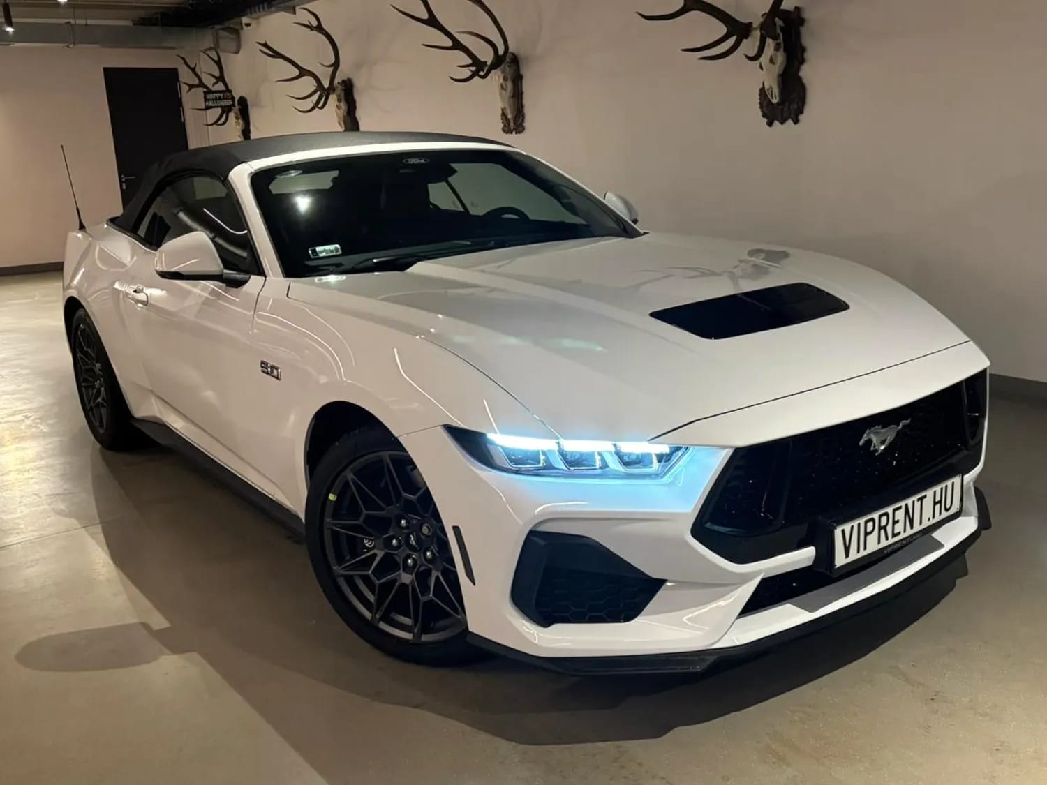 Ford Mustang GT 5.0