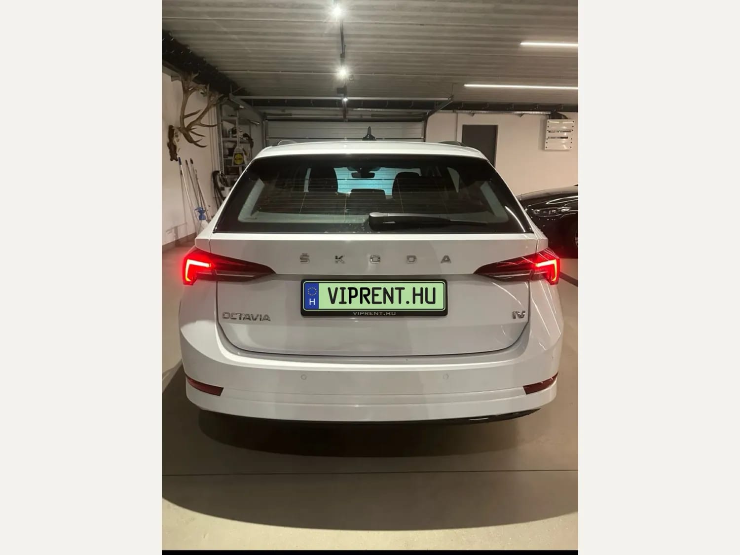 Skoda Octavia Green Plate